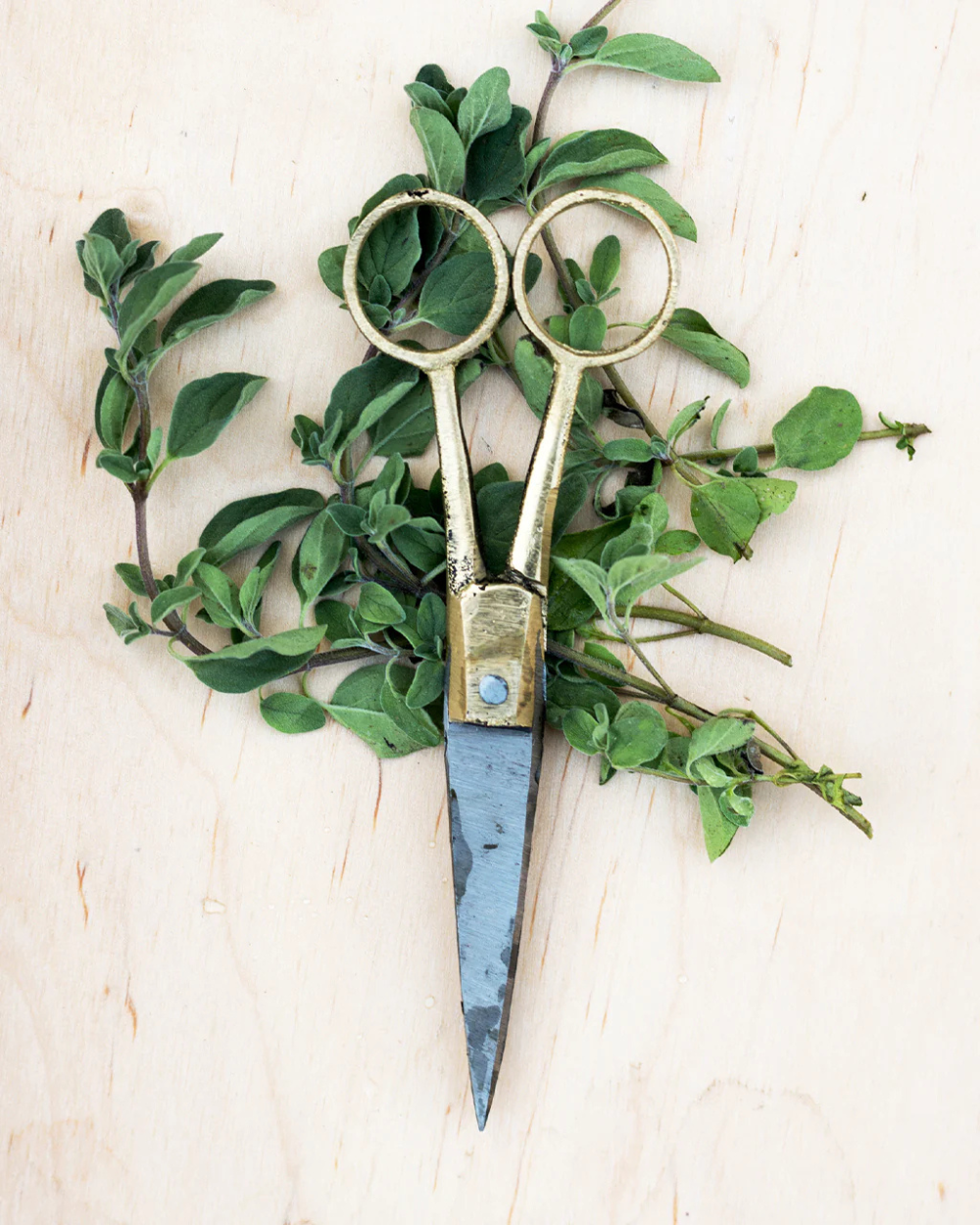 Brass Handle Scissors - Small