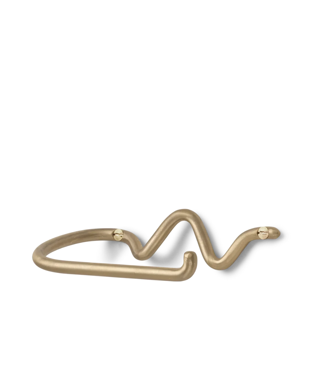 Curvature Toilet Paper Holder - Brass