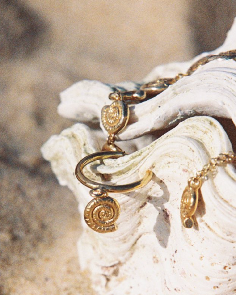 Shell Hoop Earrings - Gold