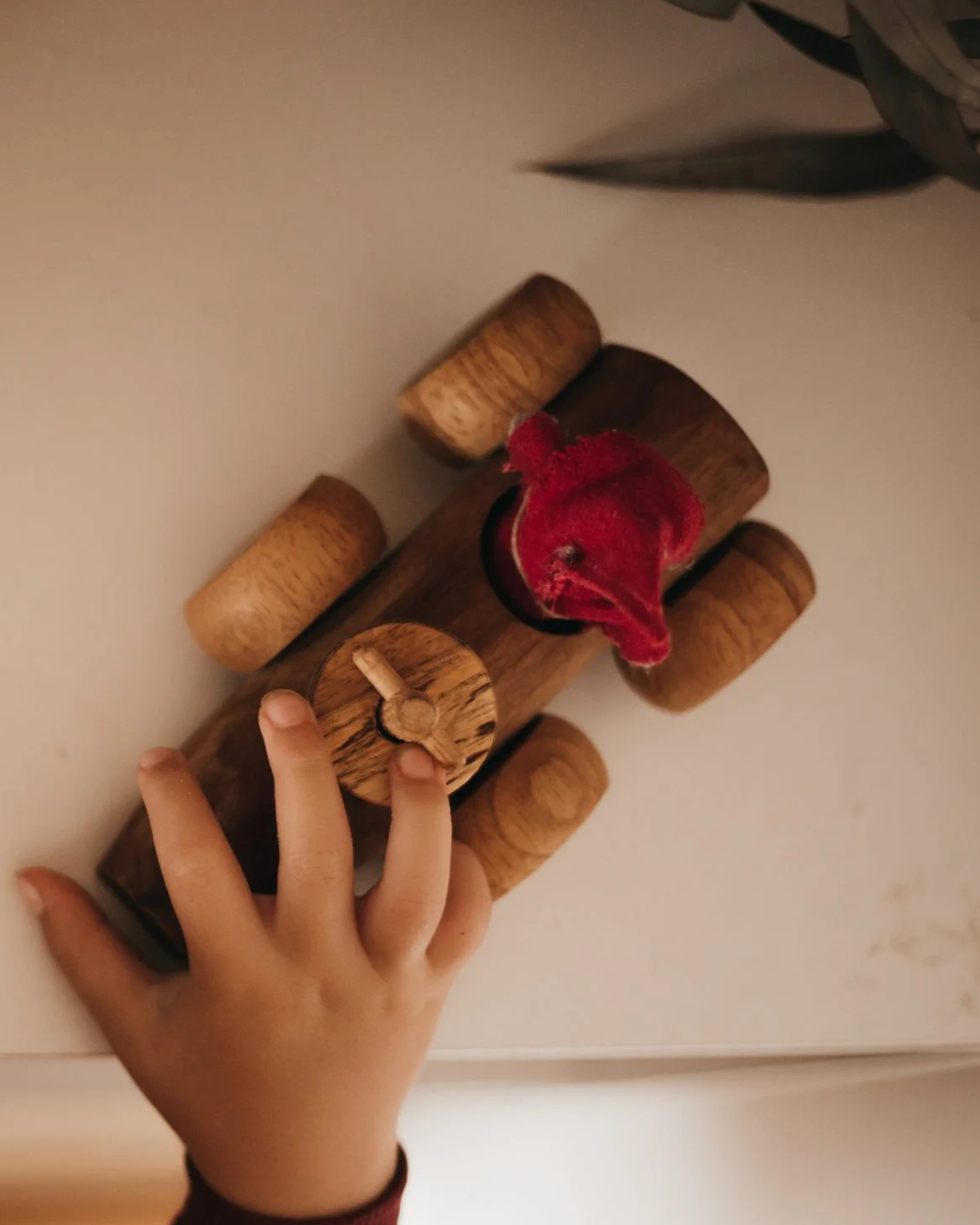 Natural Timber Racing Car
