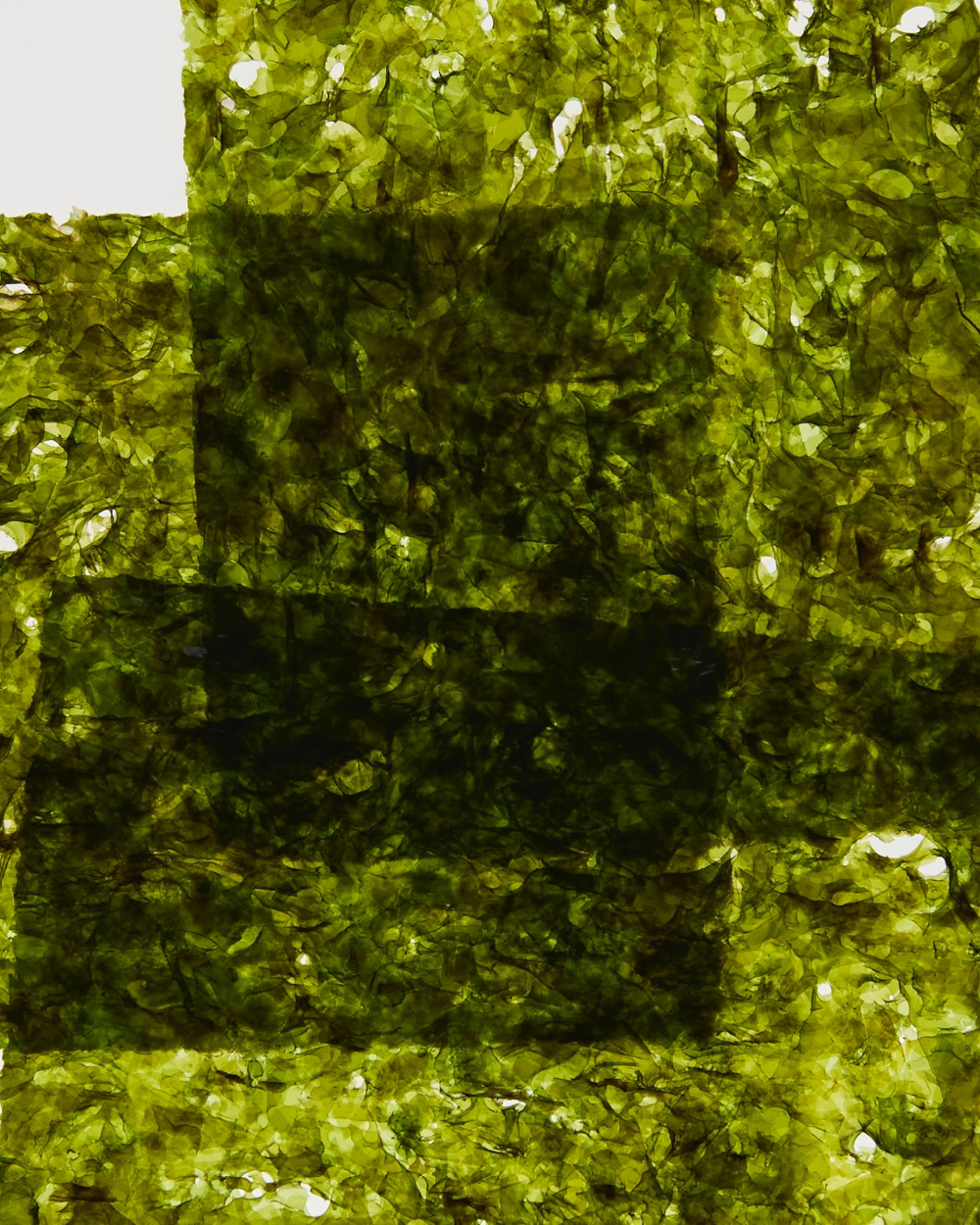 Cyan Nori