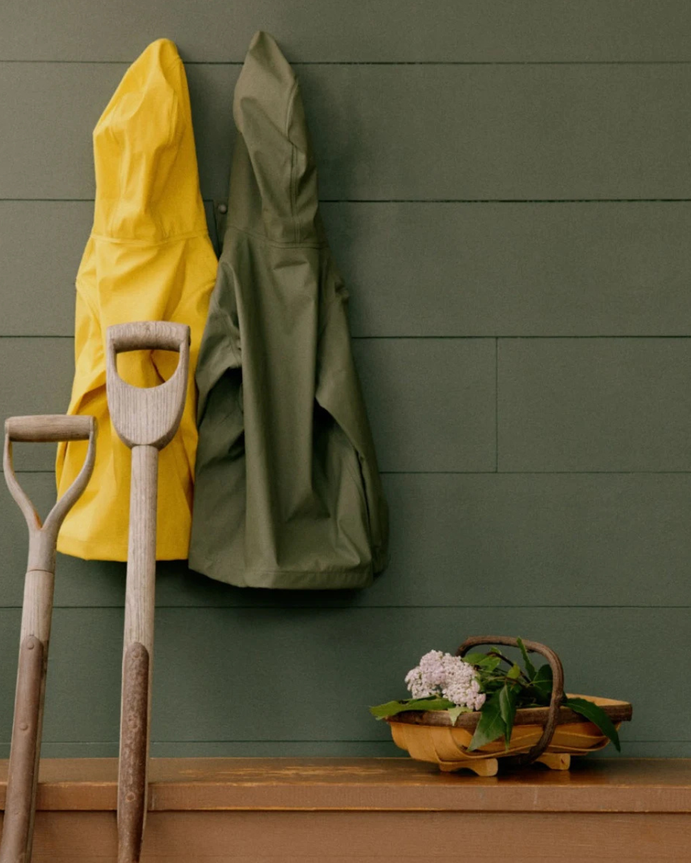 Raincoat - Thyme