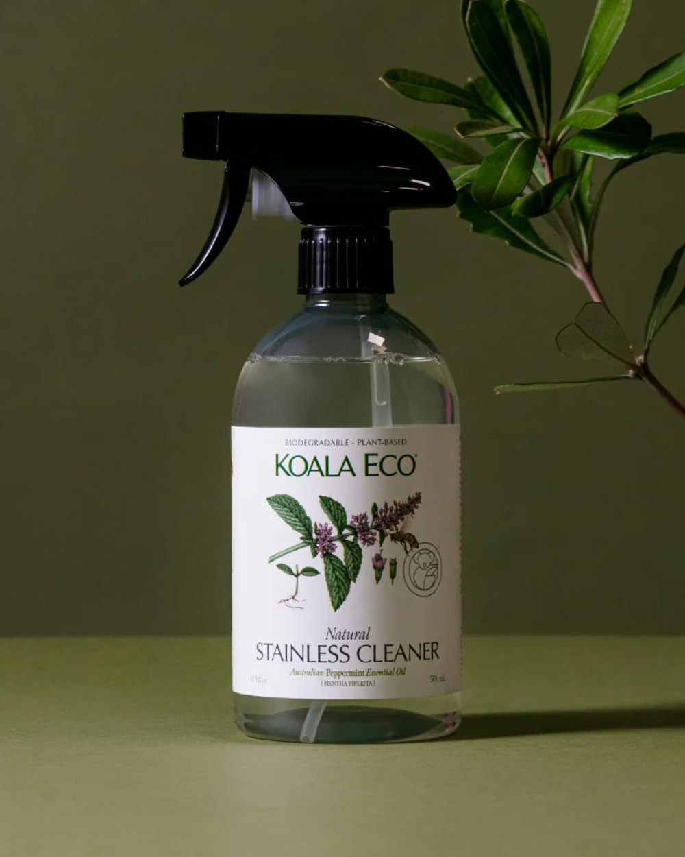 Stainless Steel Cleaner - Peppermint Essential Oil