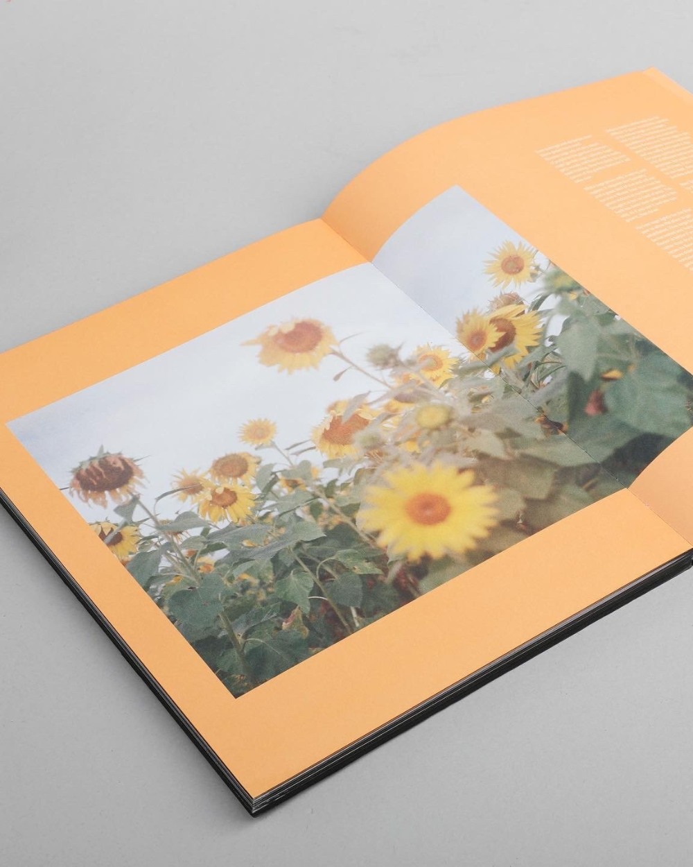 Earth Cakes Book – The Witchcraft by Jana Brunclikova