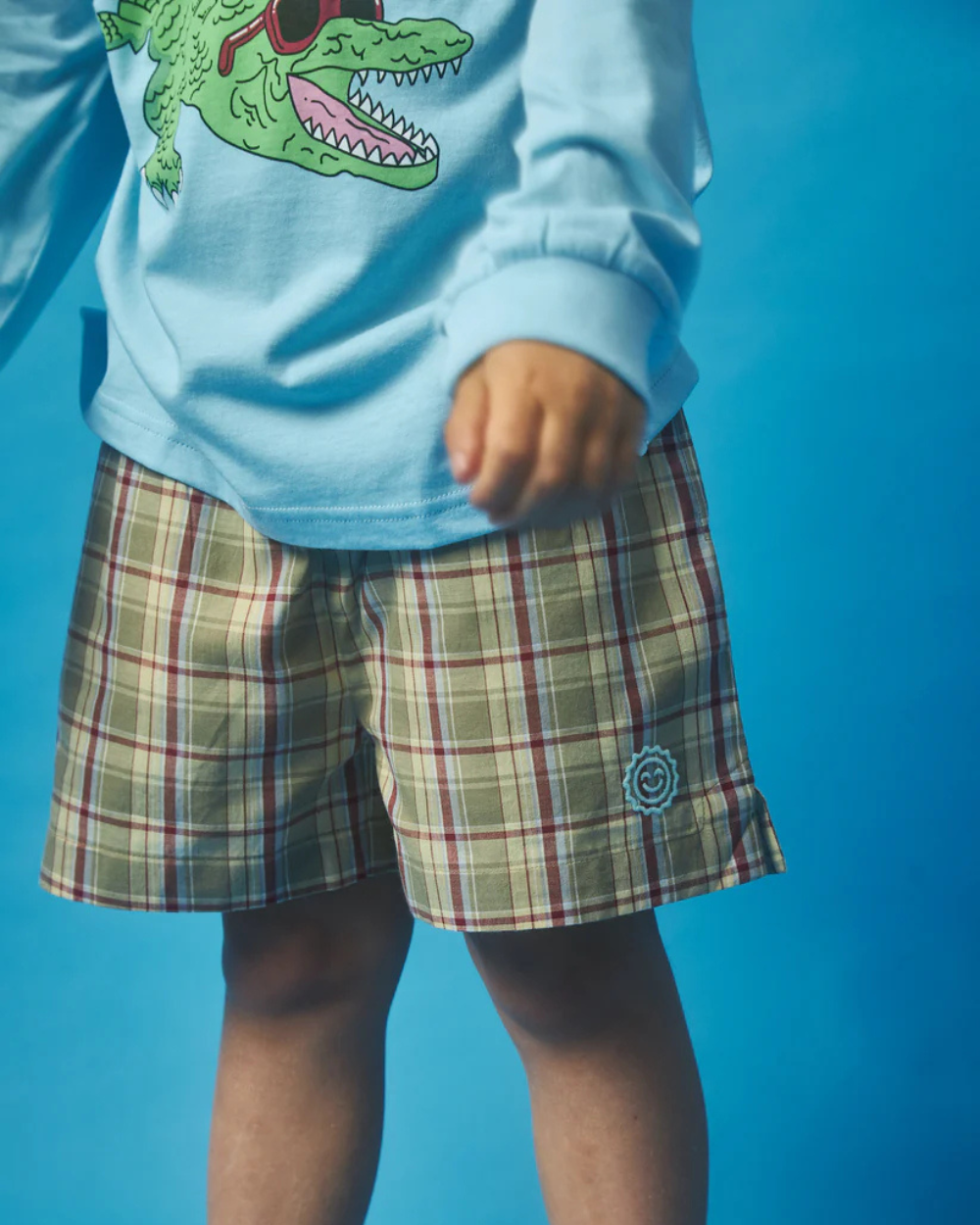 All Boxed Up Short - Check Yourself