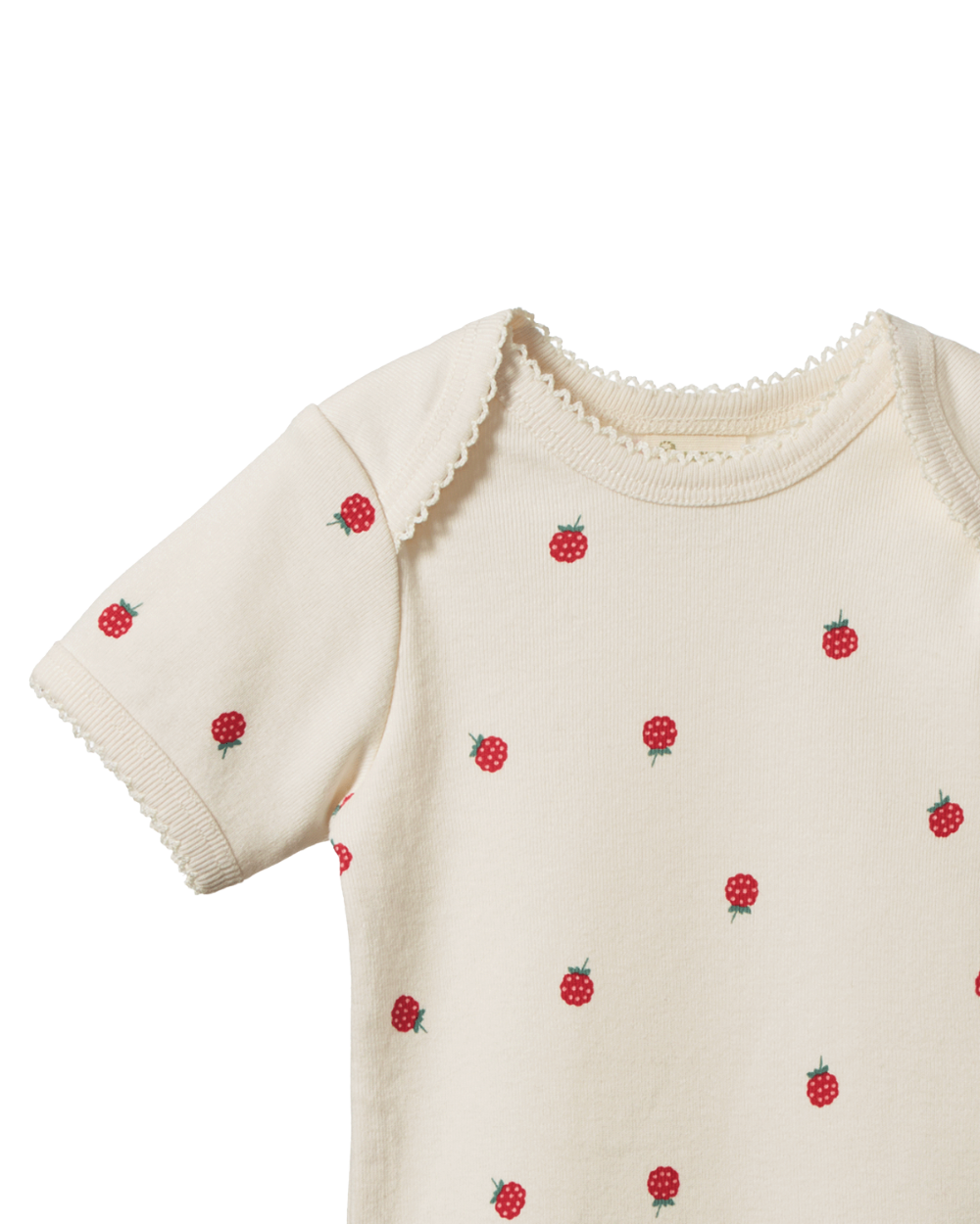 Organic Cotton Shortsleeve Bodysuit - Raspberry Print