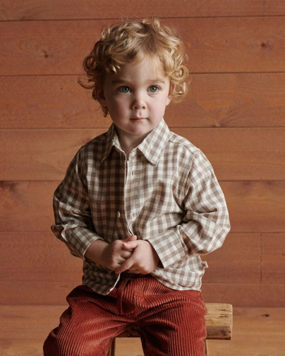 Ira Button Up - Cub Check