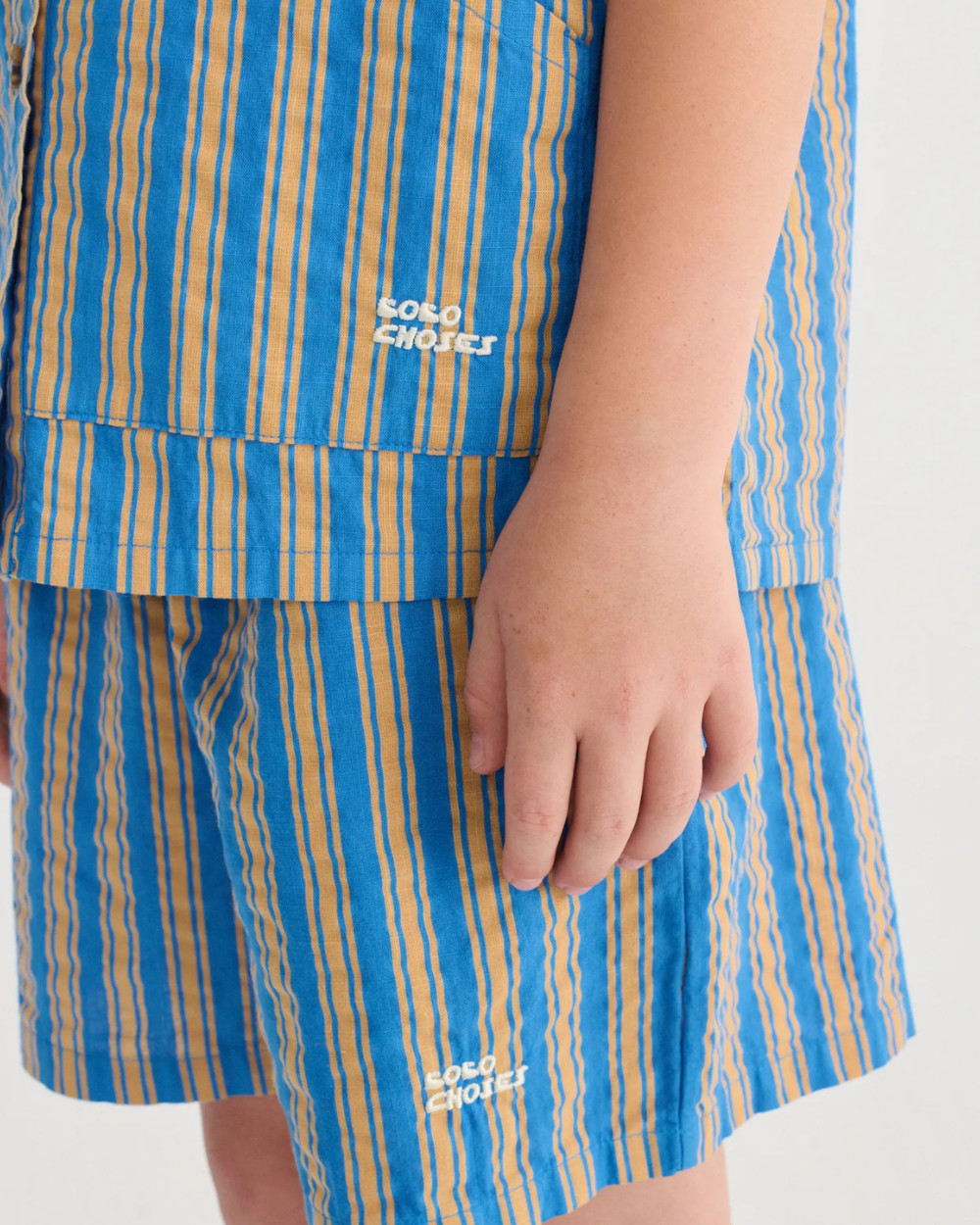 Hairline Bermuda Shorts - Multi Stripe