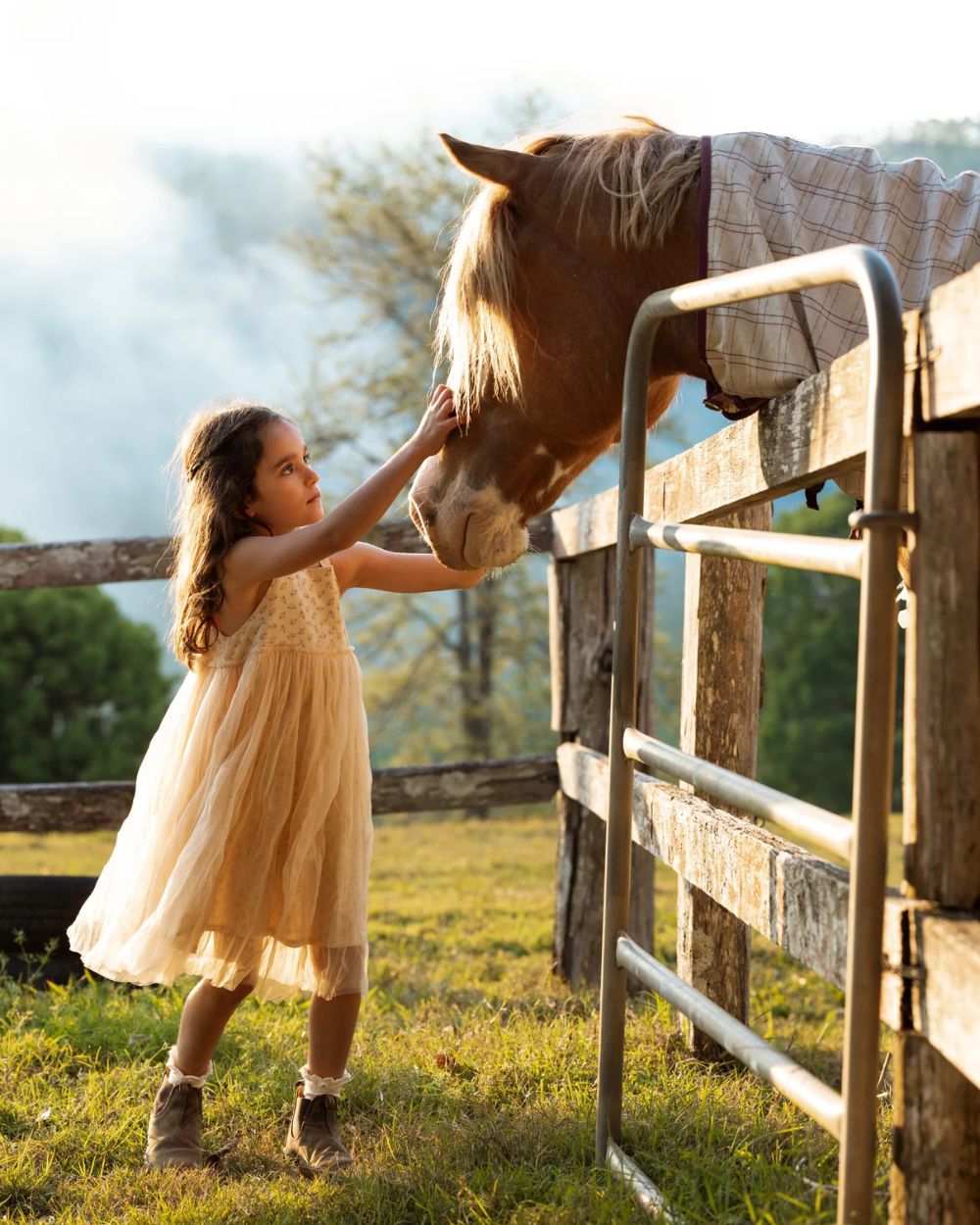 Valencia Tutu - Buttermilk