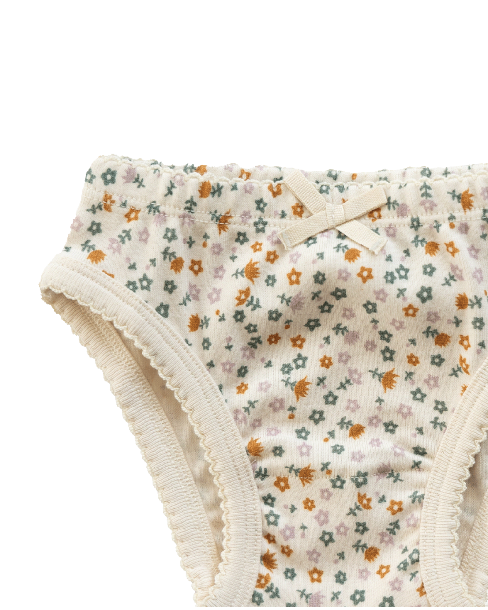 Organic Cotton Knickers - Pollyanna Print