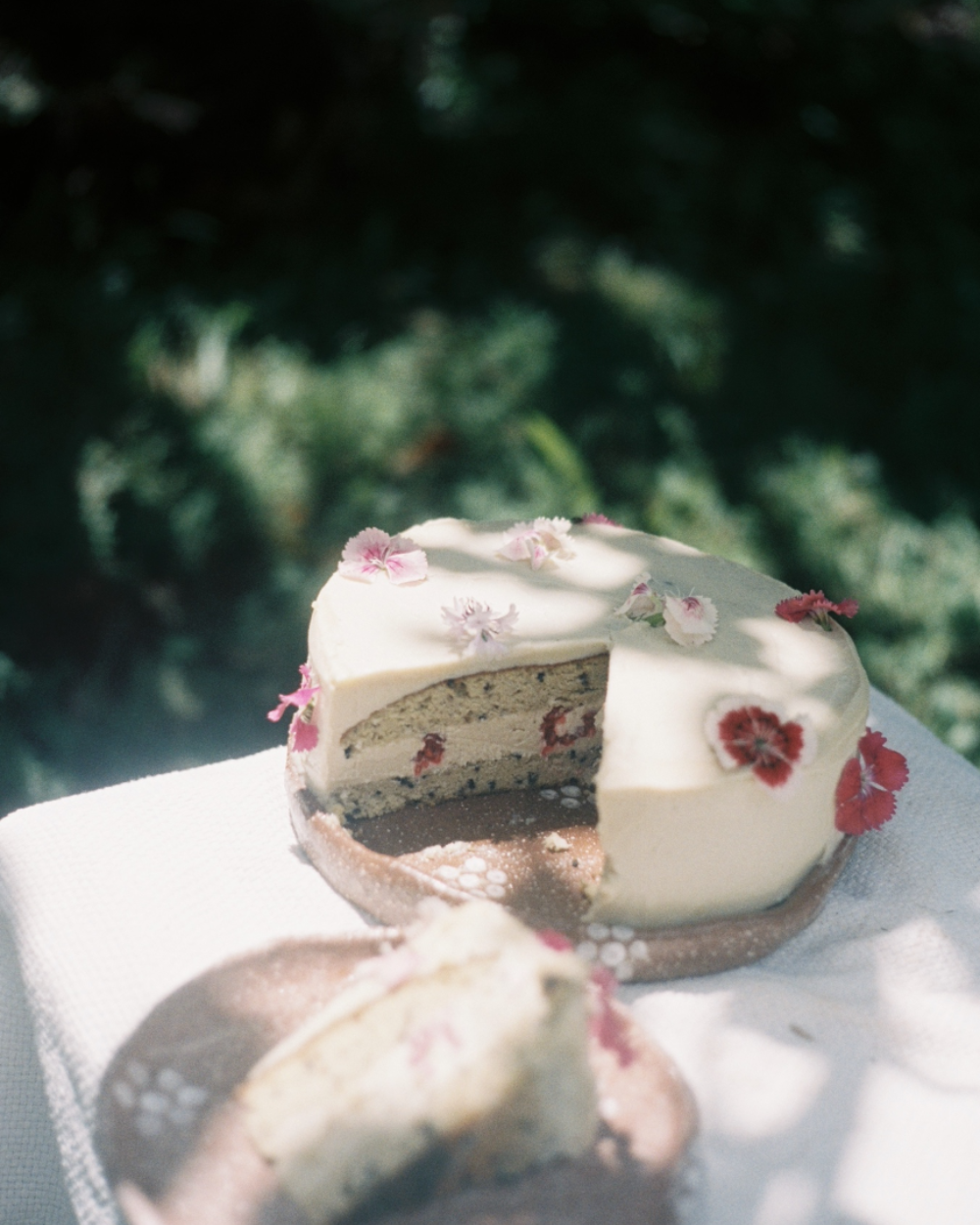 Earth Cakes Book – The Witchcraft by Jana Brunclikova