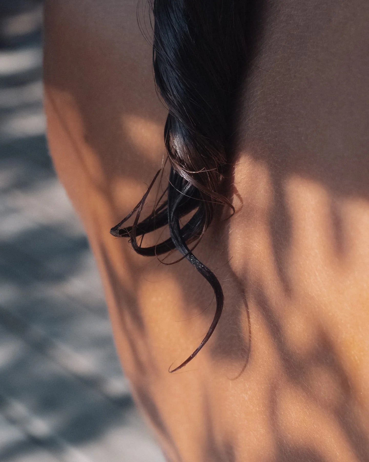 Leif Conditioner 500ml - Blue Cypress