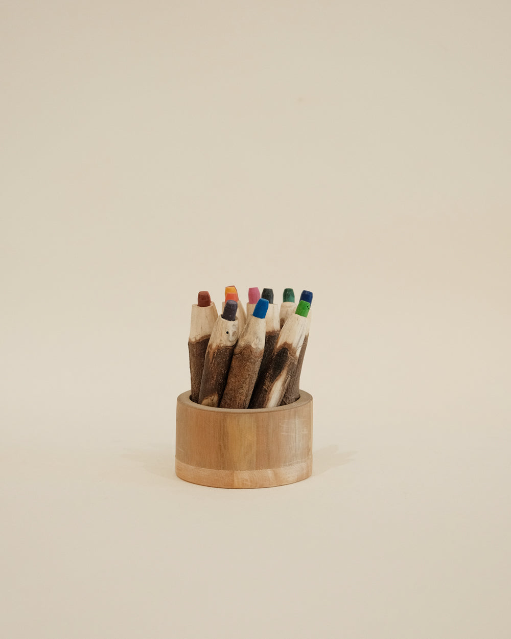 Tree Colour Pencils with Holder
