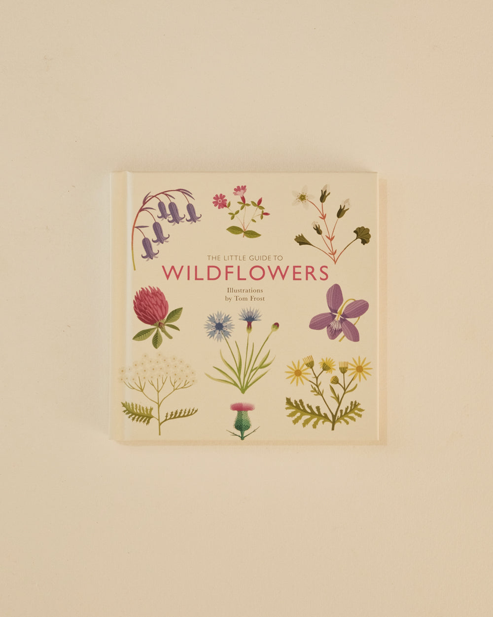 The Little Guide to Wildflowers - Alison Davies