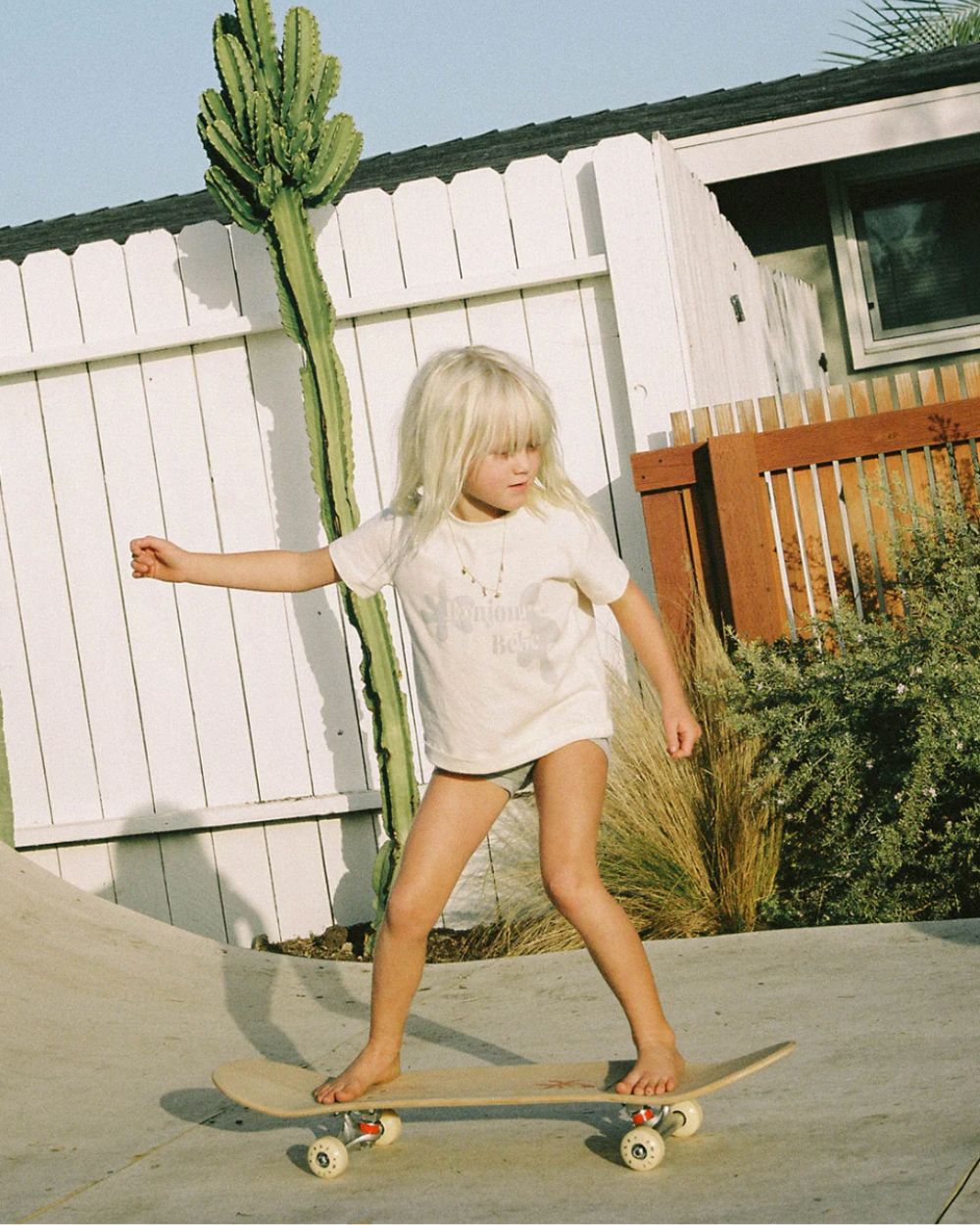 Laguna - Bobby Small Popsicle Skateboard