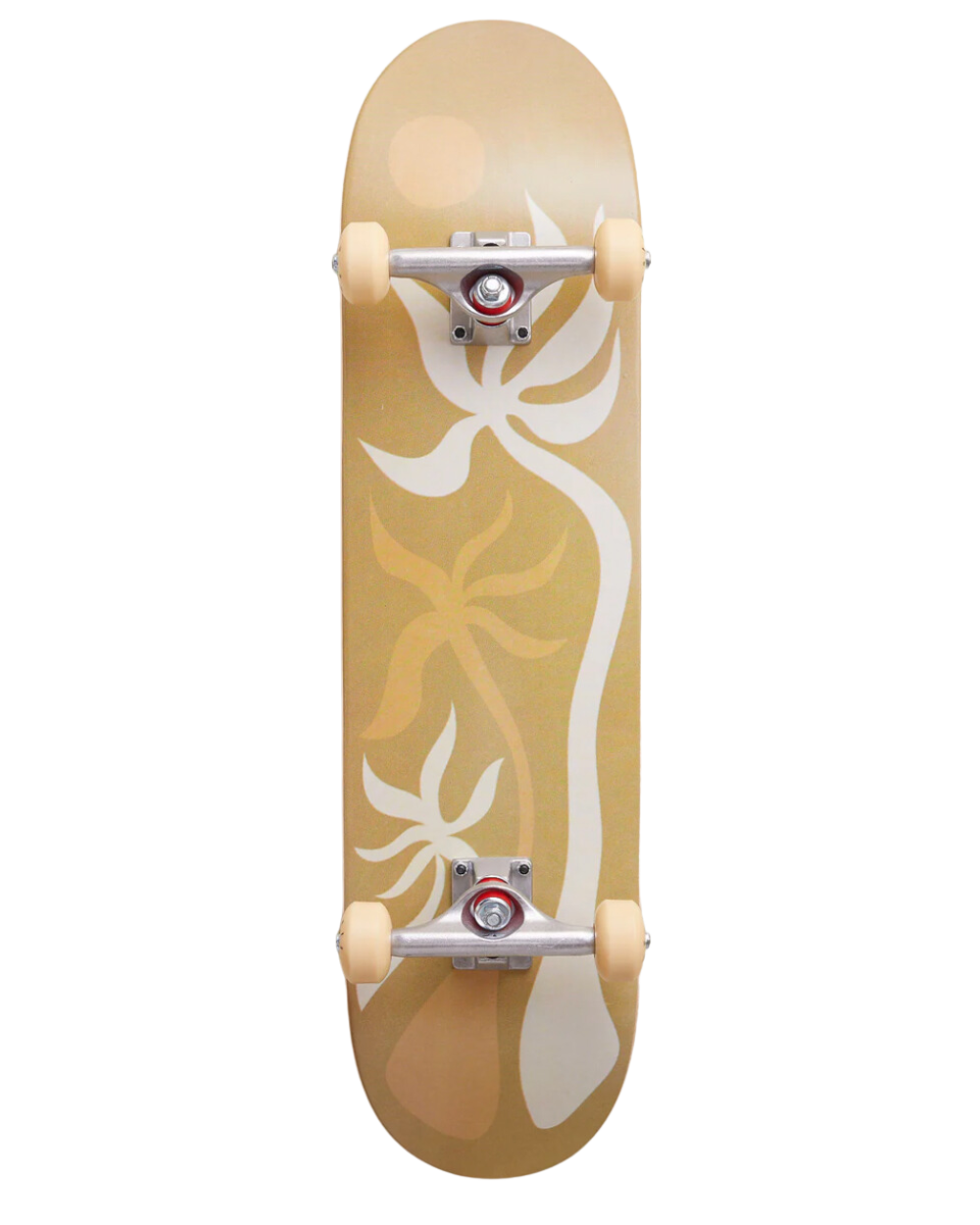 Laguna - Bobby Small Popsicle Skateboard