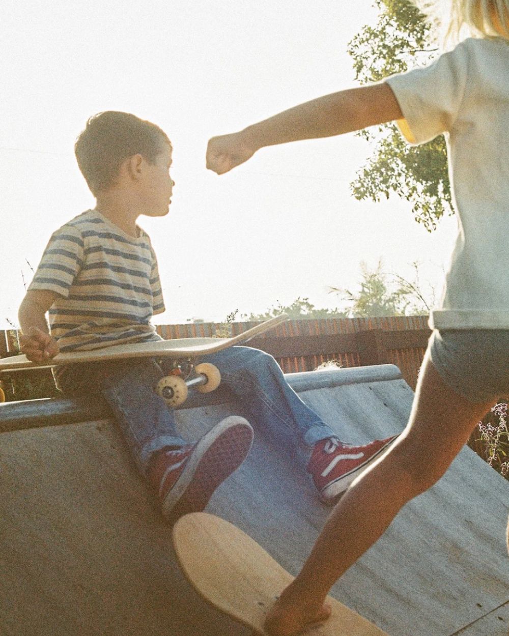 Laguna - Bobby Small Popsicle Skateboard