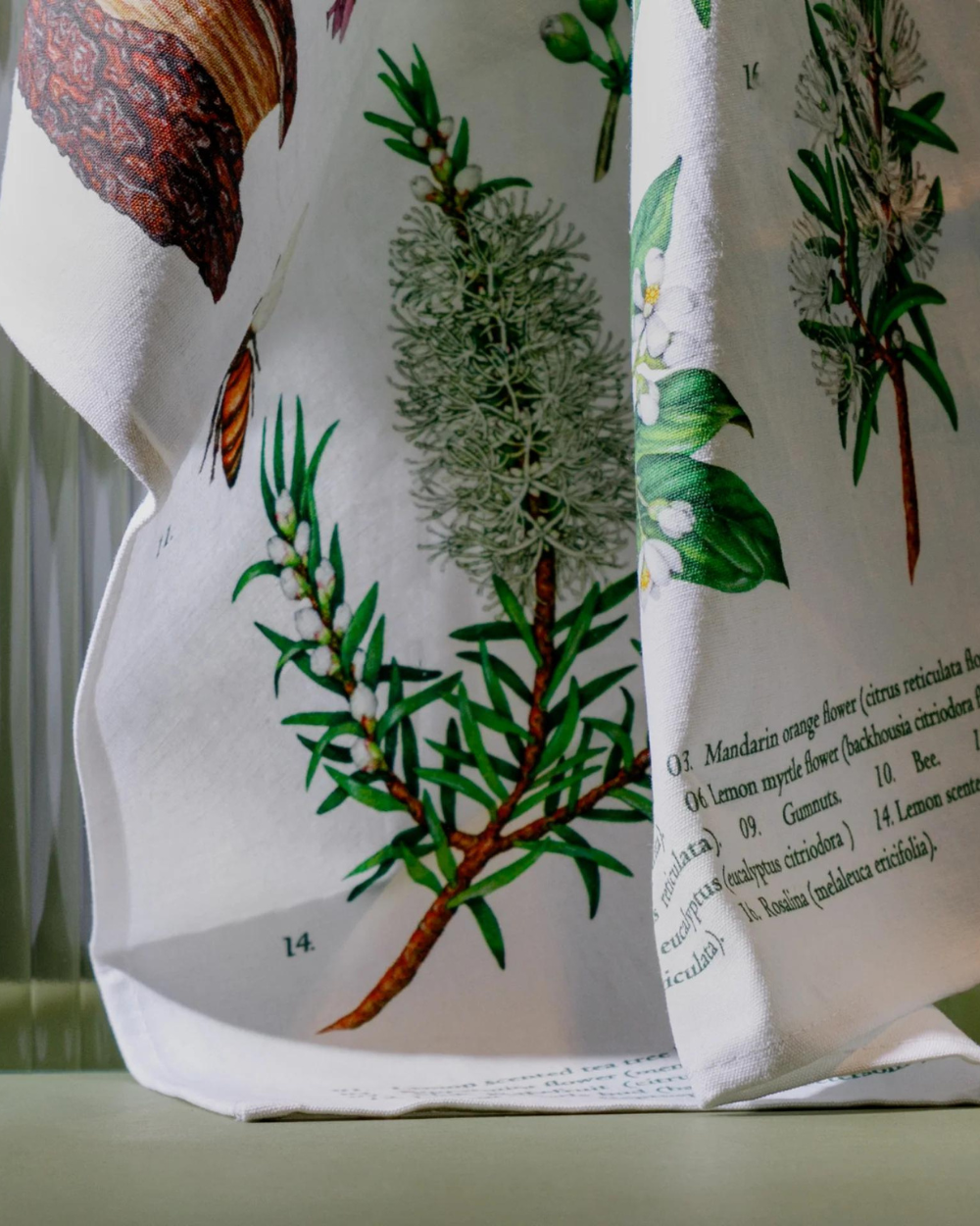 Tea Towel - Terra Botanica