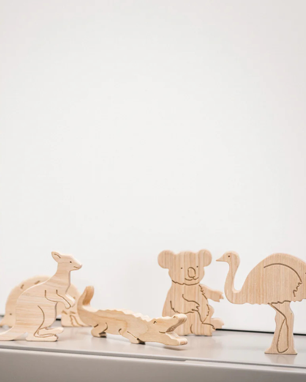 Wooden Sorting Puzzle - Animals Of Australia