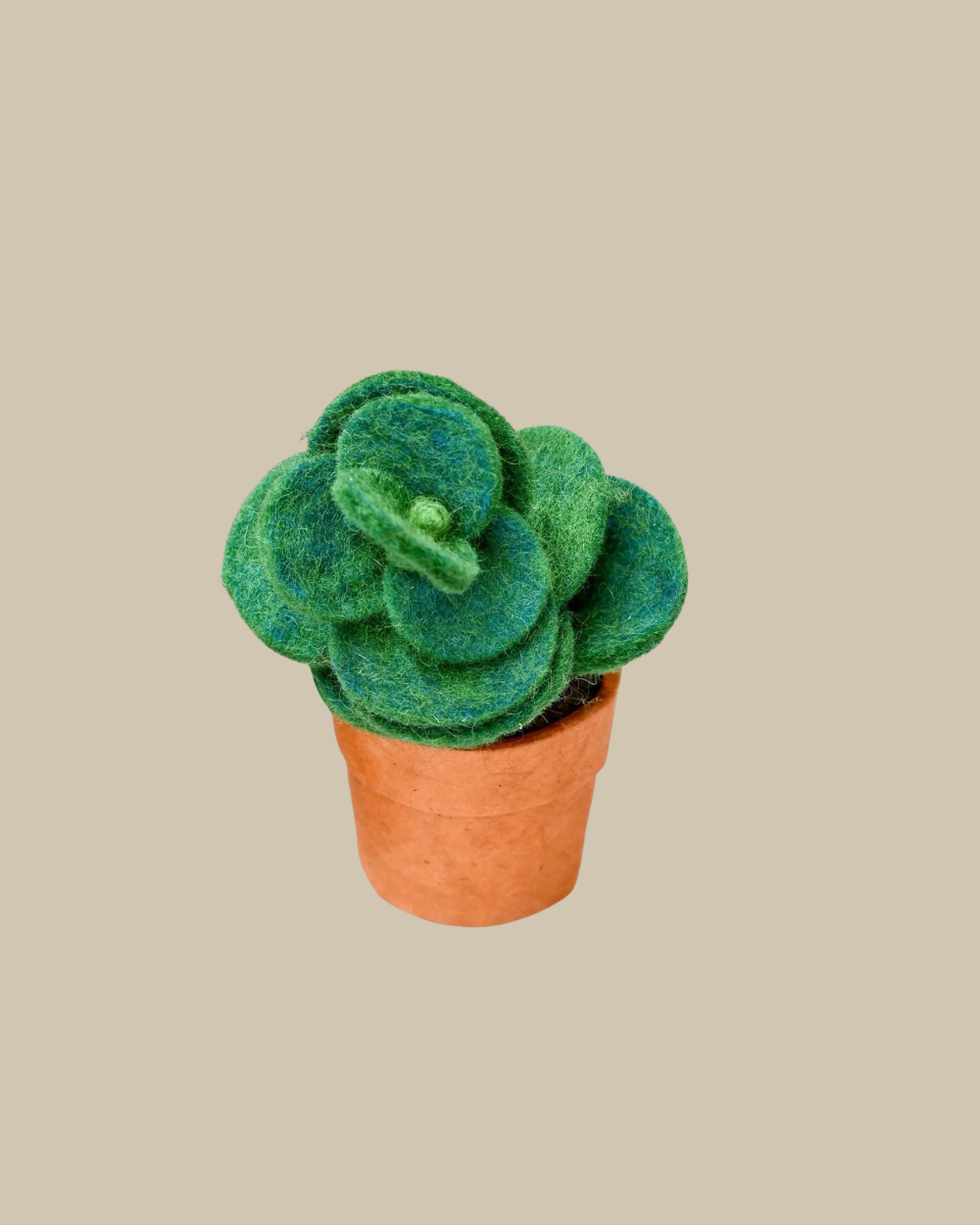 Felt Green Jade Succulent Plant with Lokta Paper Pot