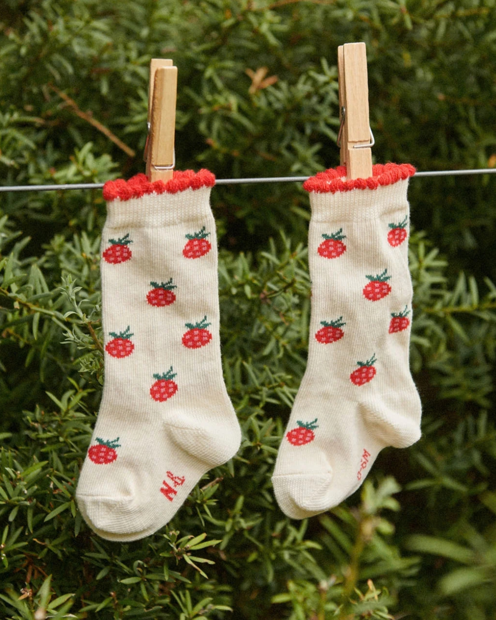 Organic Cotton Socks - Raspberries