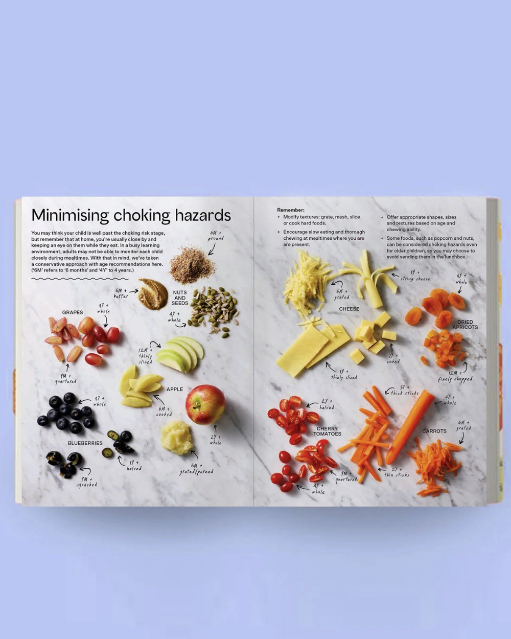 Lunch Box Bible - Julia Tellidis & Lauren Skora